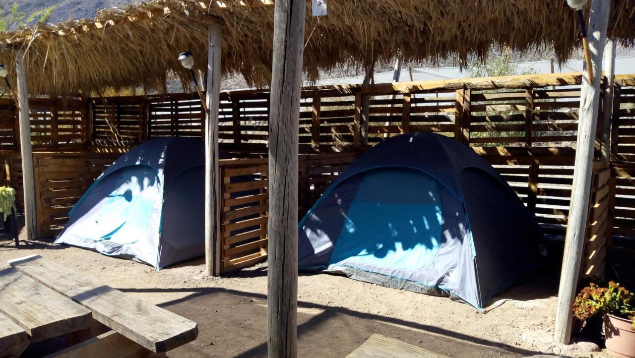 Astro Camping Elqui Experience Vicuña Exteriör bild