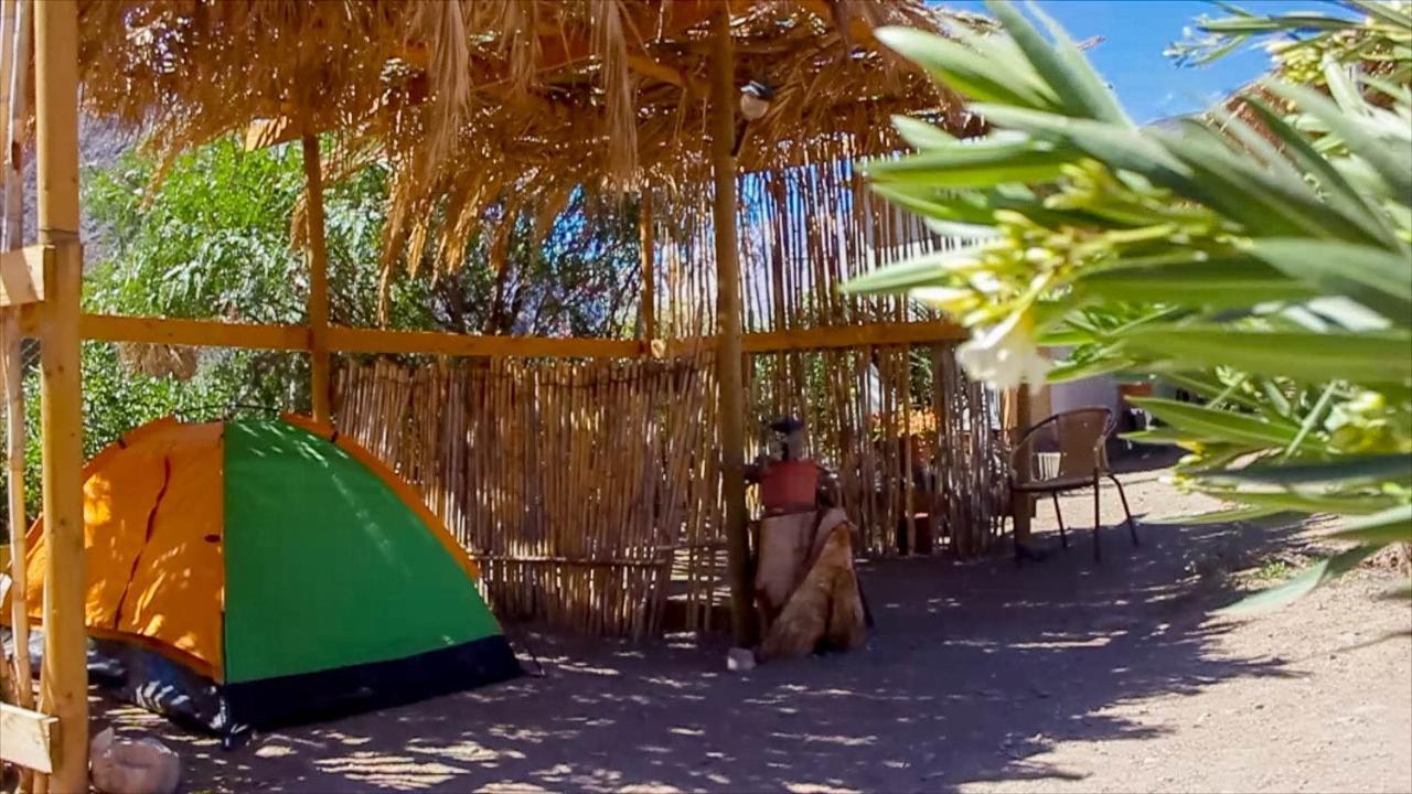 Astro Camping Elqui Experience Vicuña Exteriör bild